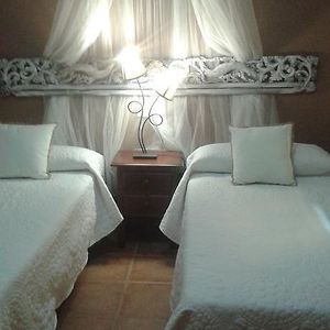 Habitación Estándar con 2 Camas Individuales